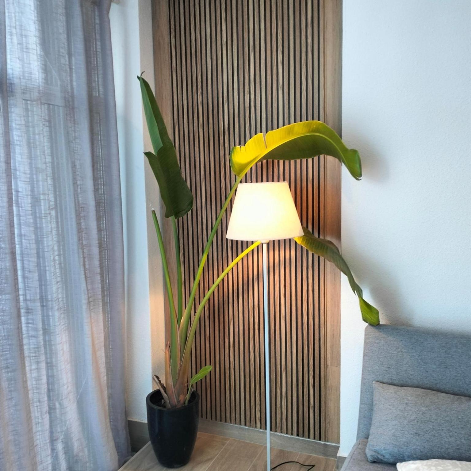 Natural Home 또레비에하 외부 사진